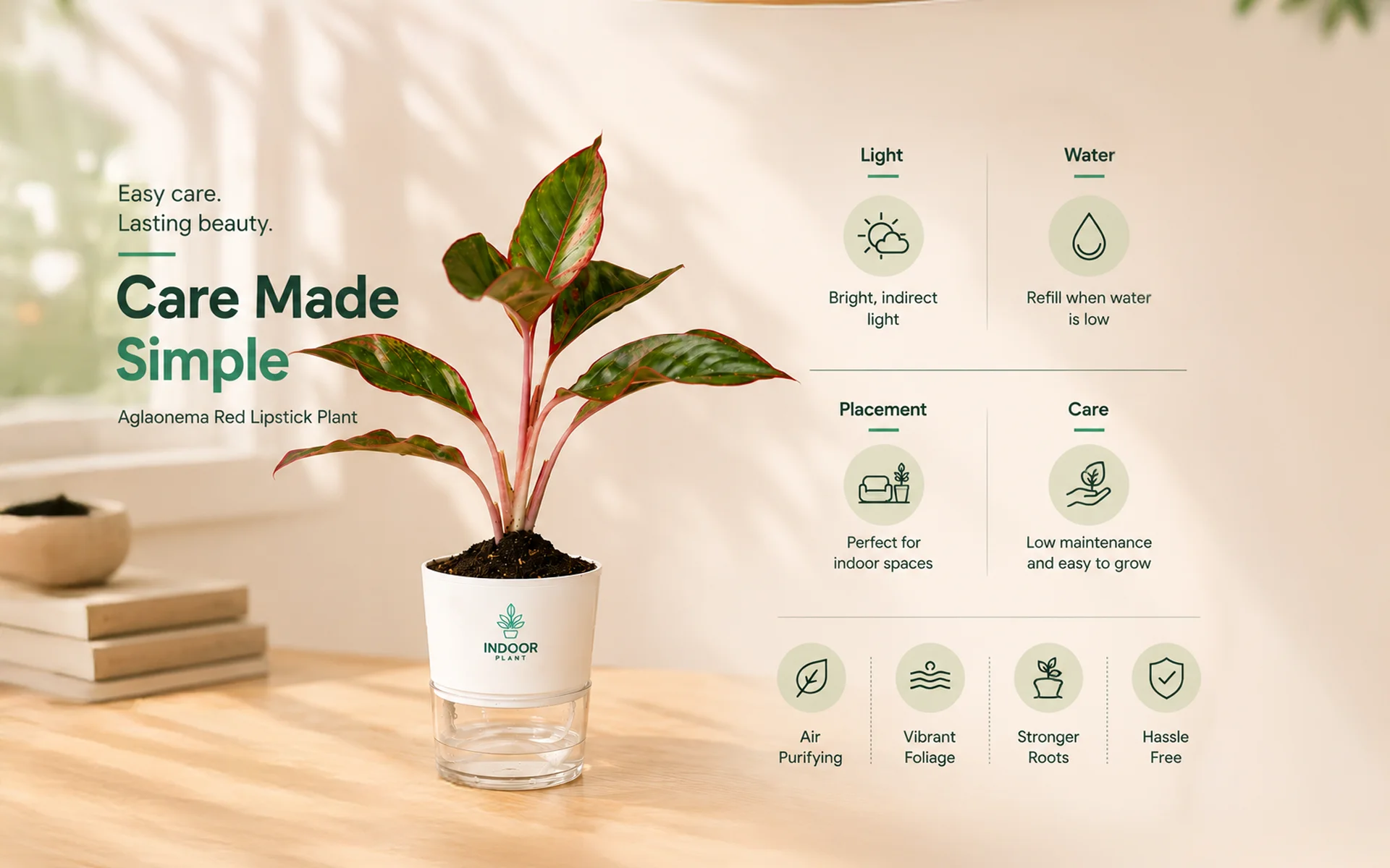 Aglaonema Red Lipstick plant with vibrant green and red leaves in a modern indoor setting.