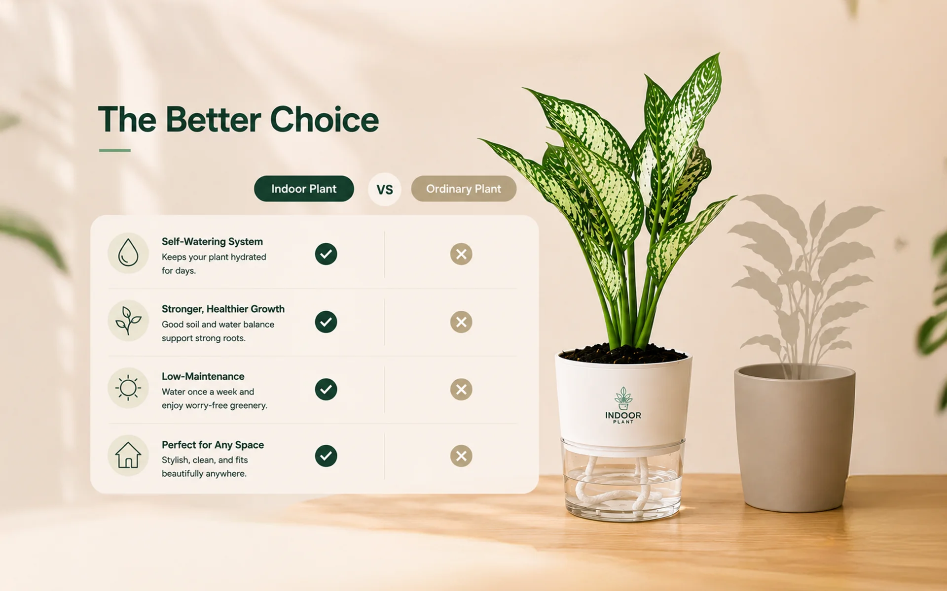 Aglaonema Snow White plant in a self-watering pot with simple indoor care instructions.